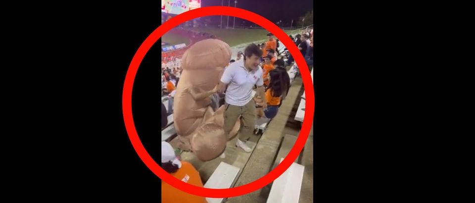 Man in penis costume kicked out of Sam Houston State football game 