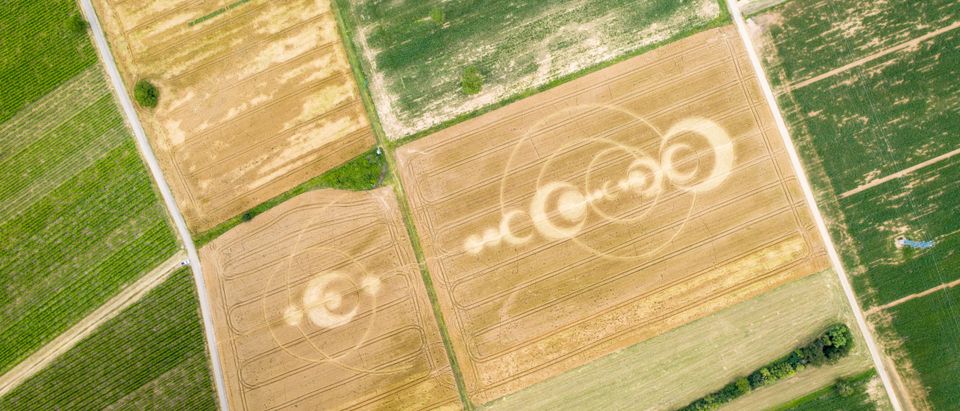 An,Image,Of,Crop,Circles,Field,Alsace,France
