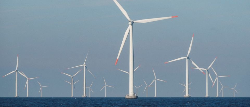 Top Biden Bureaucrat Consulted With Eco-Activists To Justify Infusing Social Justice Into Wind Program