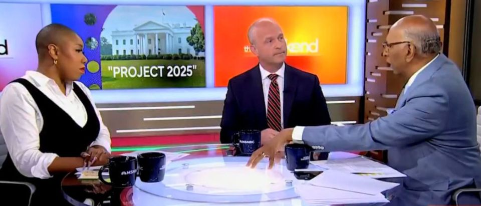 ‘That’s Sweet. They’re Illegal Aliens’: Heritage Foundation President Spars With MSNBC Hosts Over Illegal Immigration