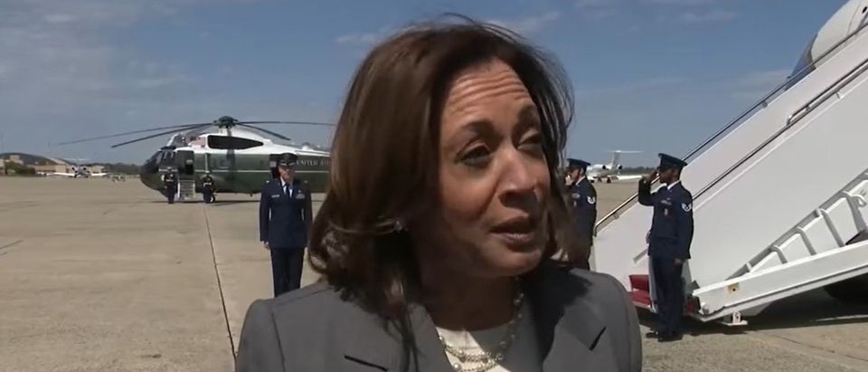 STEVE CORTES: The Top Three Vulnerabilities Of Kamala Harris