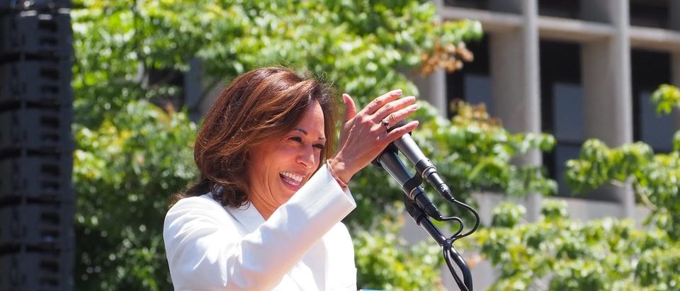 ‘Misleading Information’: Sheriff Seen In Kamala Harris Ad Says He Does Not Support Her