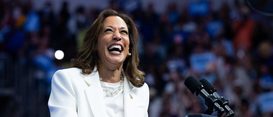 One Of Kamala Harris’ Tax Proposals Could Be ‘An Economic Doomsday Device,’ Experts Say
