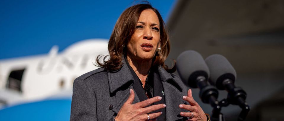 Rooke: Harris World Should Keep Panicking. She’s Floundering In Only Election Metric That Matters
